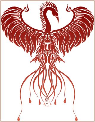 Tribal Phoenix Picture Tattoos